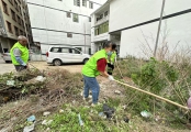 除草防蚊护环境！高州市巾帼志愿者助力平山镇创建卫生镇