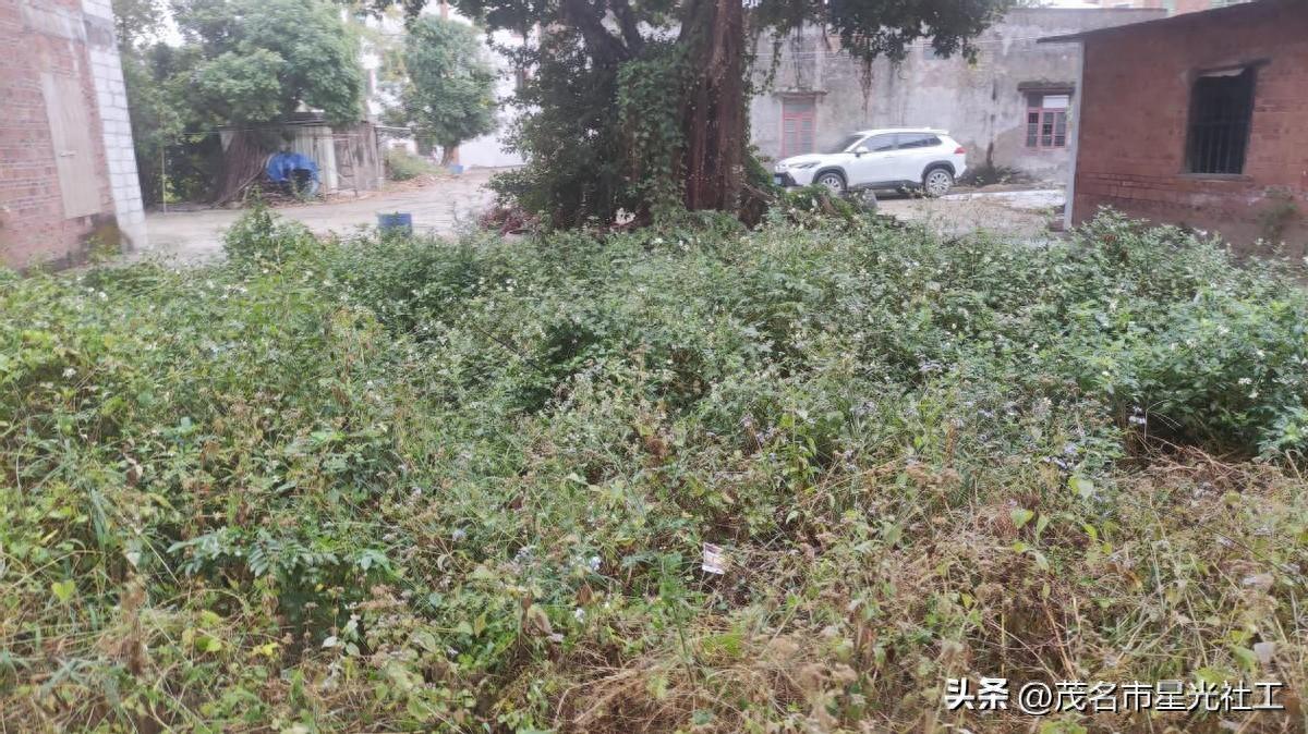 禁种铲毒走进张屋村委会-1.jpg