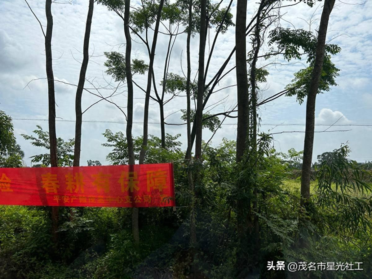 禁种铲毒-1.jpg