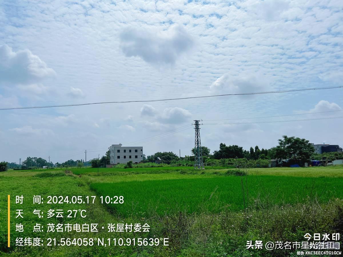 禁种铲毒-2.jpg