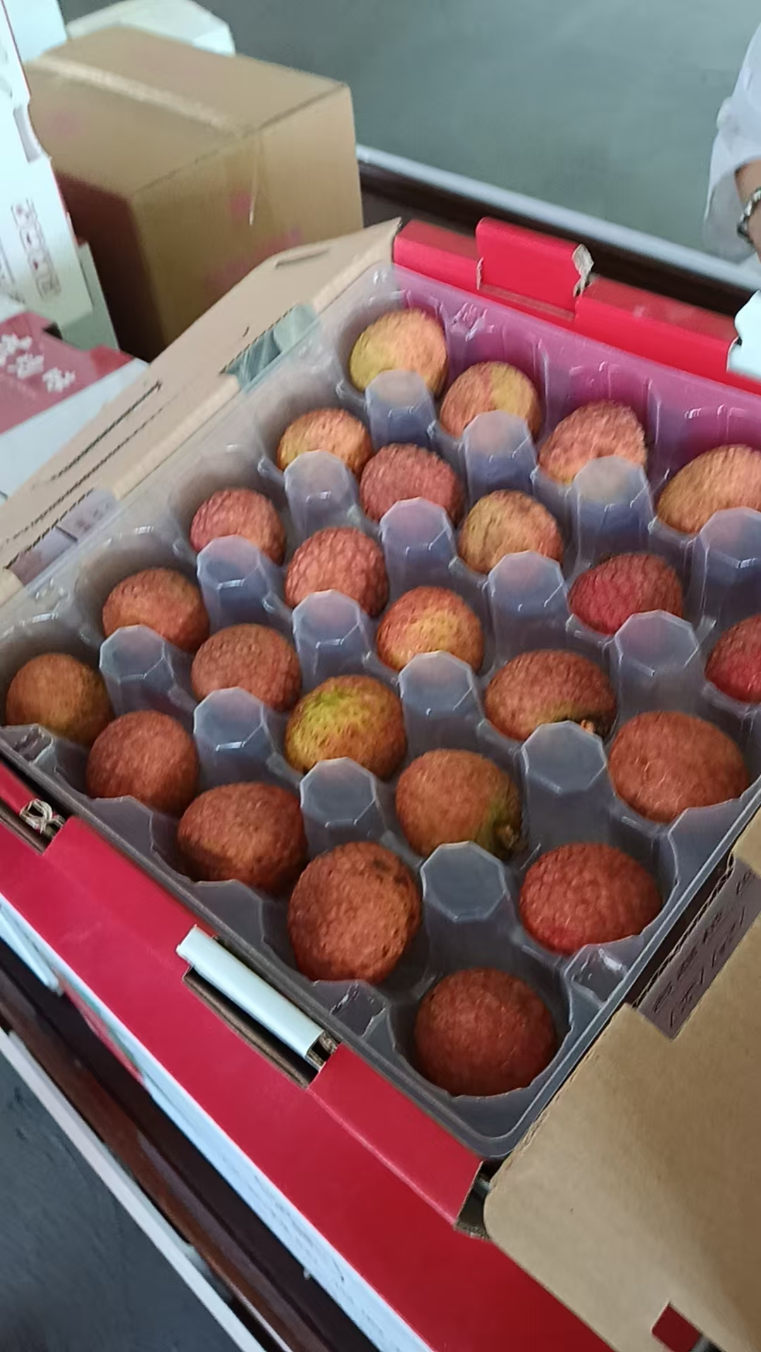 巾帼志愿展风采 助力荔枝飘香远-7.jpg