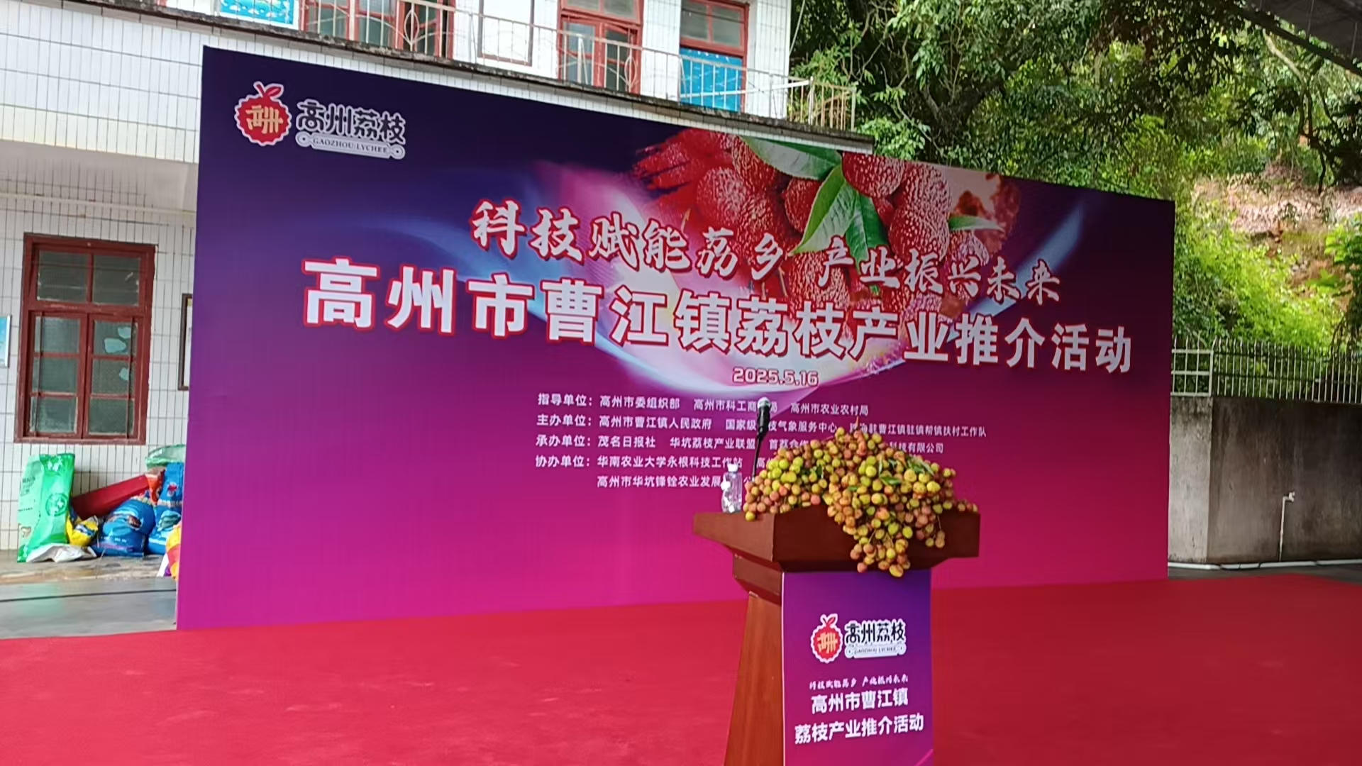 巾帼志愿展风采 助力荔枝飘香远-3.jpg