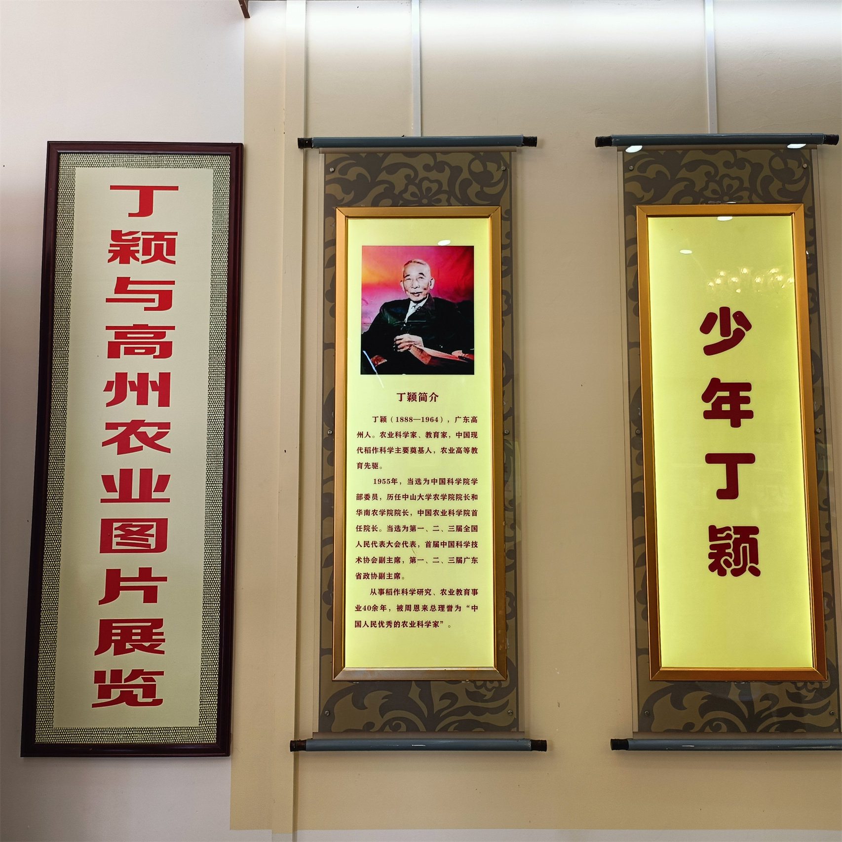 探寻稻作先驱足迹 共绘文化艺术新篇——高州志愿者走进丁颖故里农耕文化教育基地开展主题学习活动-8.jpg