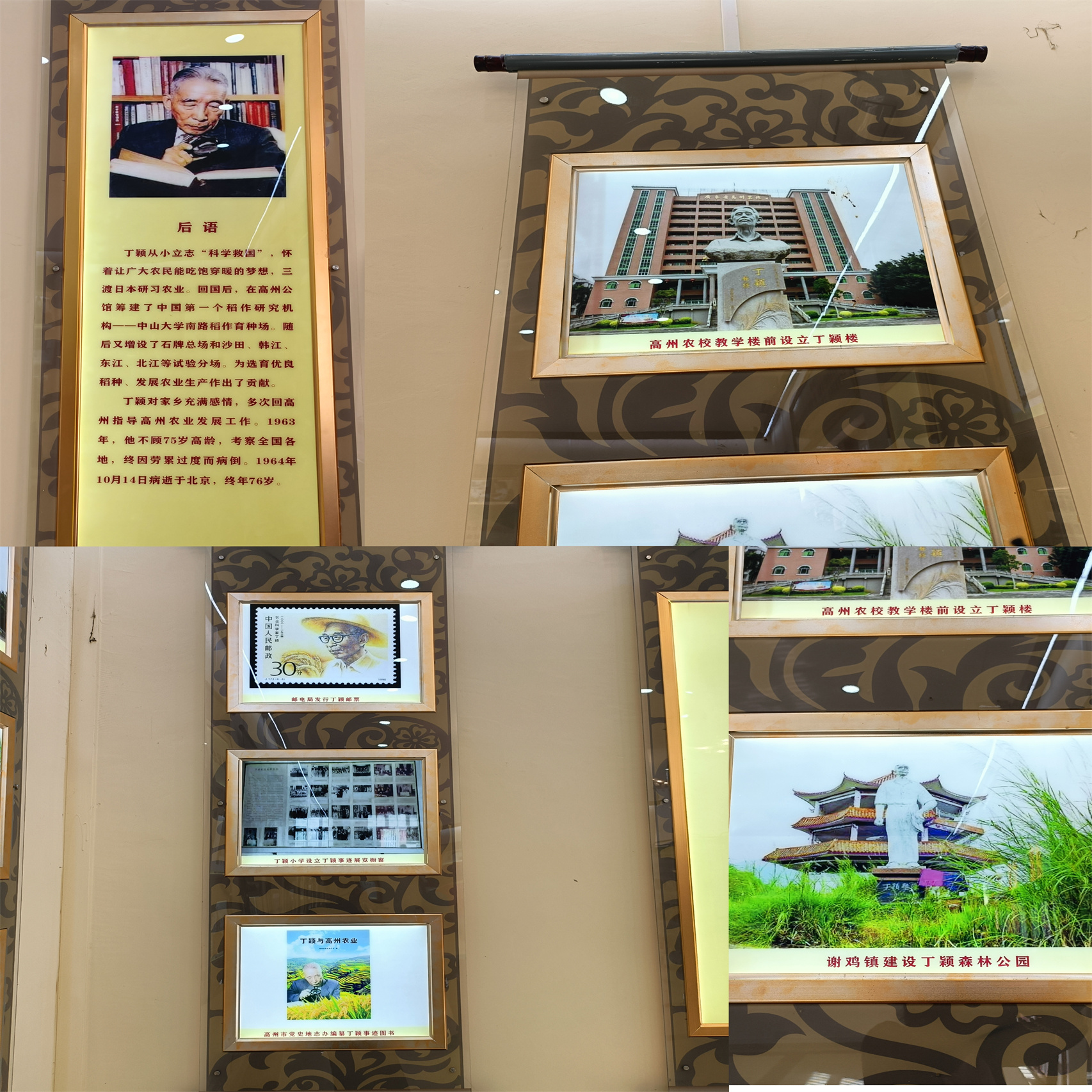 探寻稻作先驱足迹 共绘文化艺术新篇——高州志愿者走进丁颖故里农耕文化教育基地开展主题学习活动-7.jpg