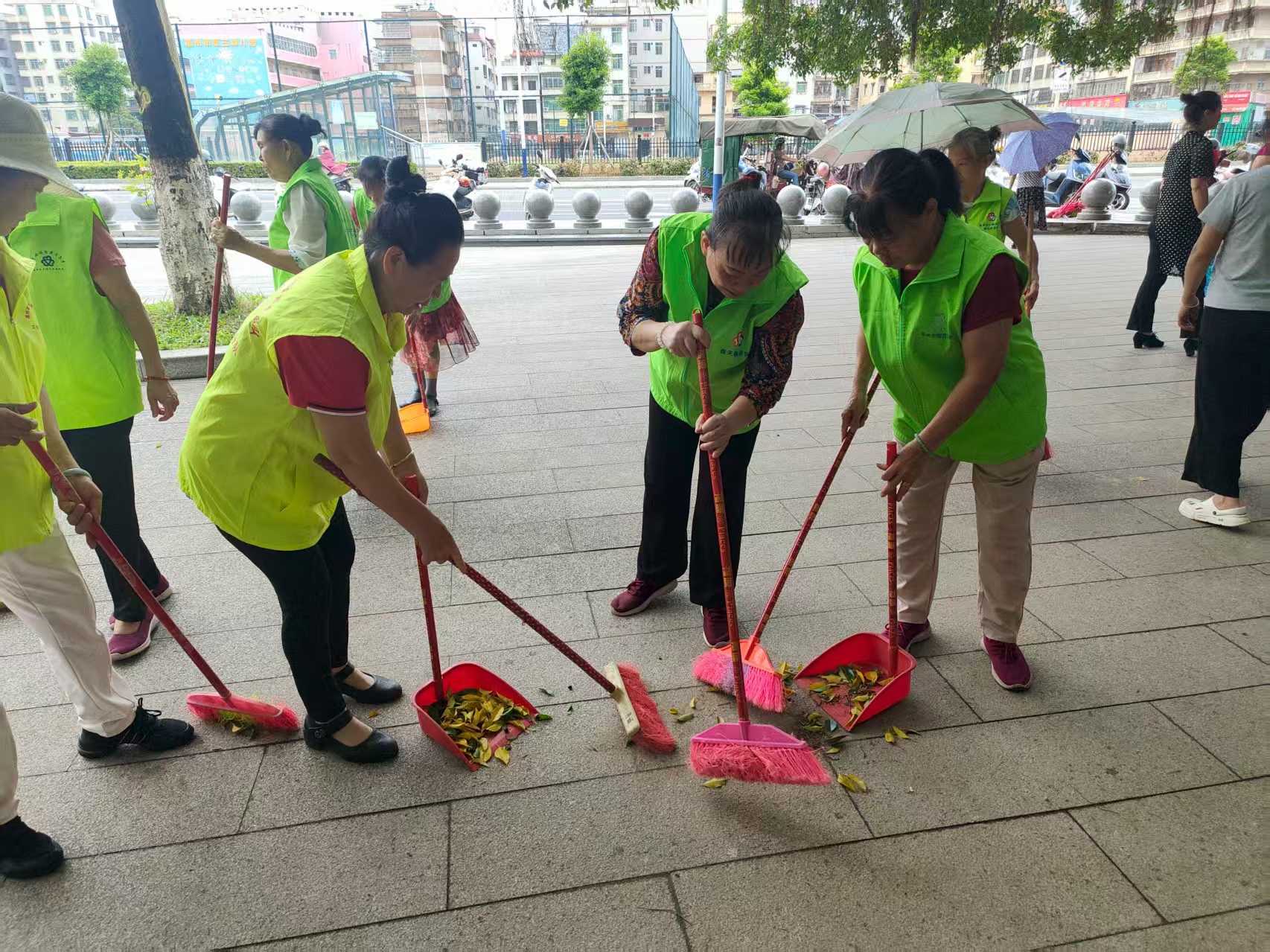 台风过后，巾帼志愿者用双手擦亮城市容颜-4.jpg
