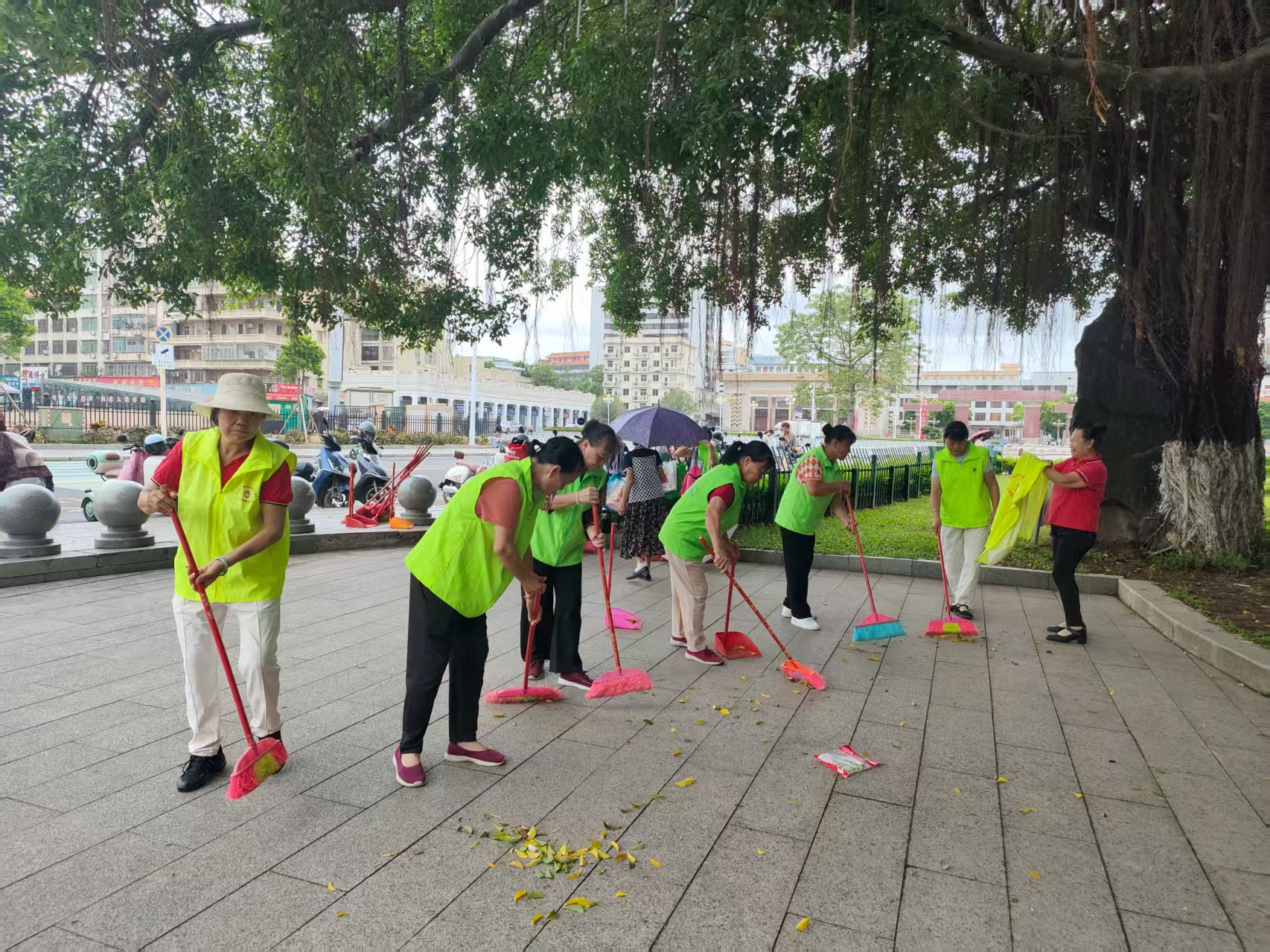 台风过后，巾帼志愿者用双手擦亮城市容颜-2.jpg