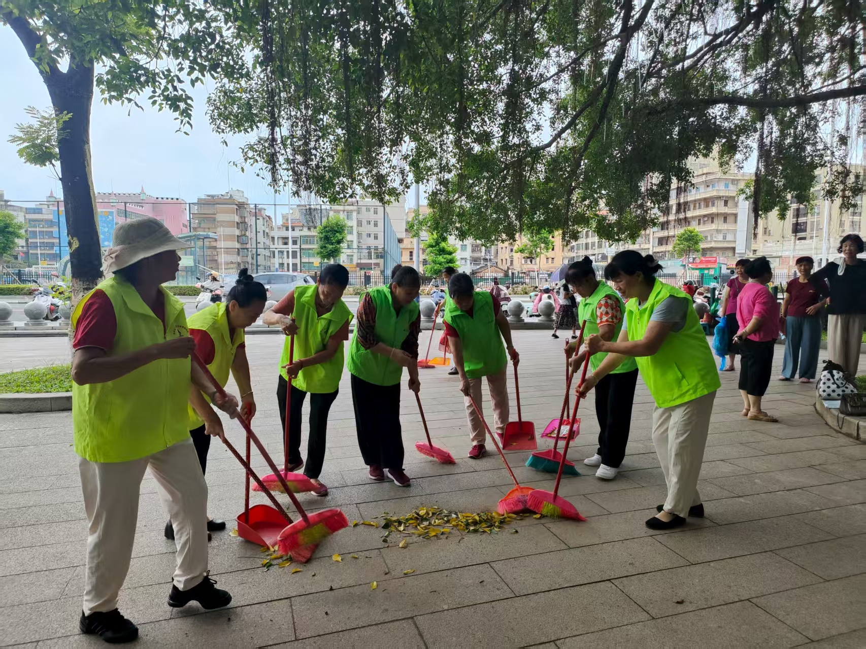 台风过后，巾帼志愿者用双手擦亮城市容颜-5.jpg