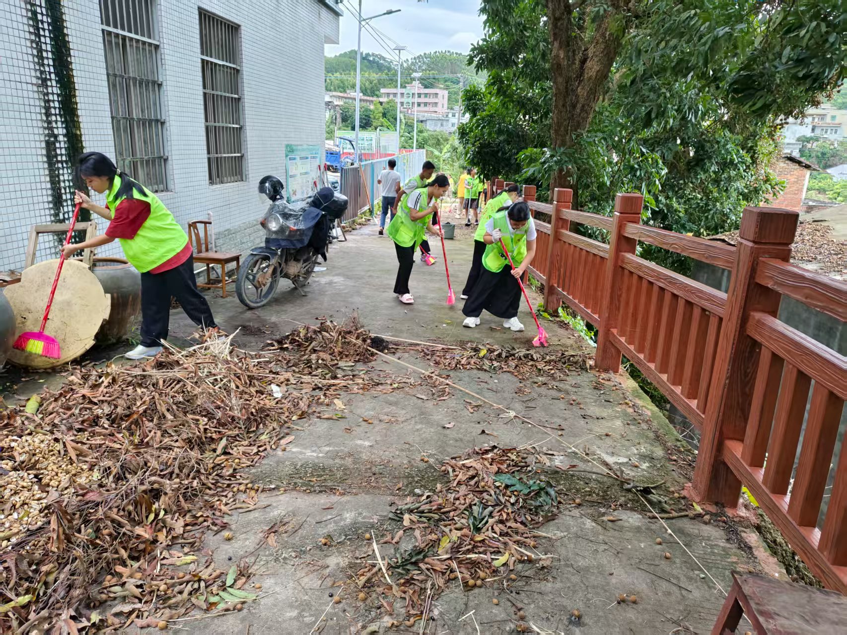 助力典型村建设 ：巾帼志愿在行动—平山巾帼志愿队到田坪典型村开展村道清理垃圾，严防基孔肯雅热疫情系列志愿活动-2.jpg
