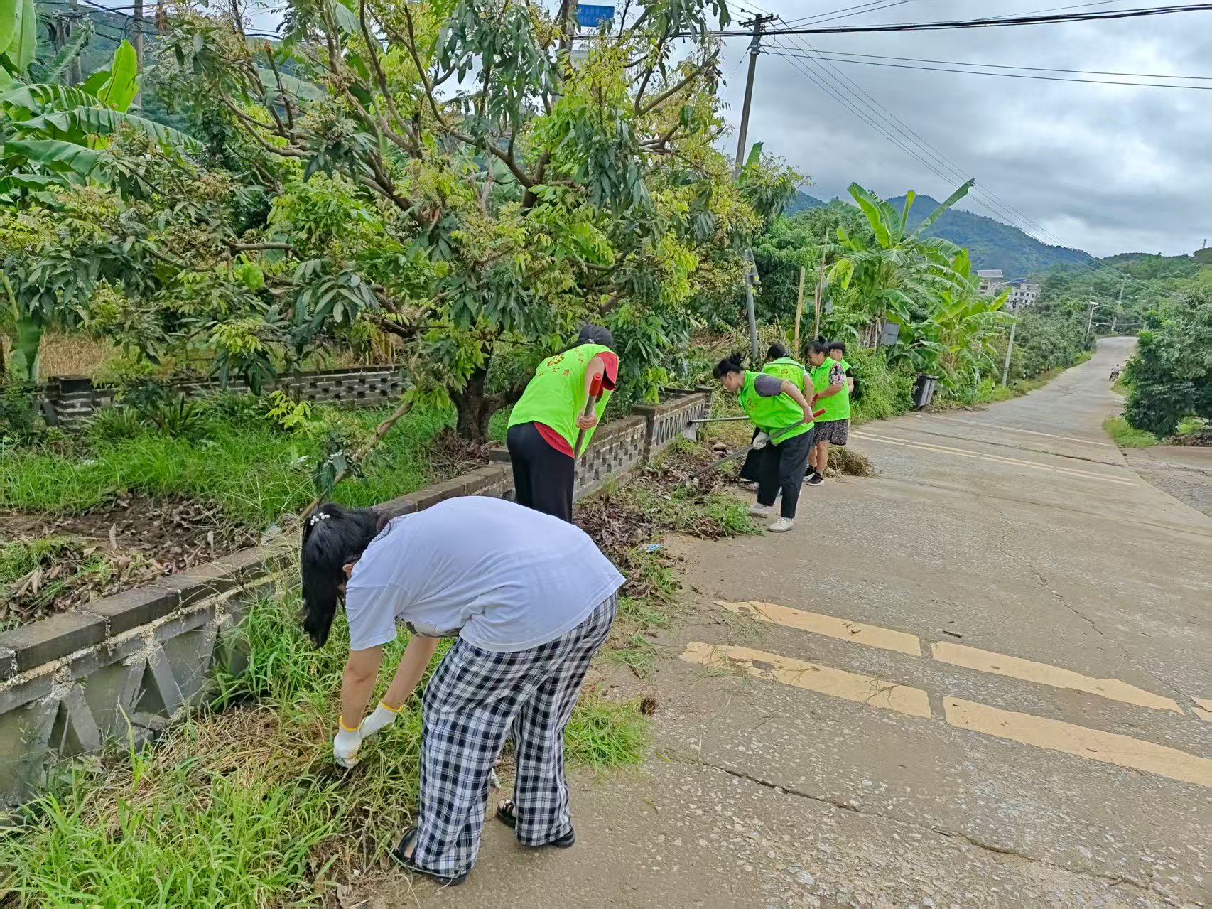 助力典型村建设 ：巾帼志愿在行动—平山巾帼志愿队到田坪典型村开展村道清理垃圾，严防基孔肯雅热疫情系列志愿活动-5.jpg