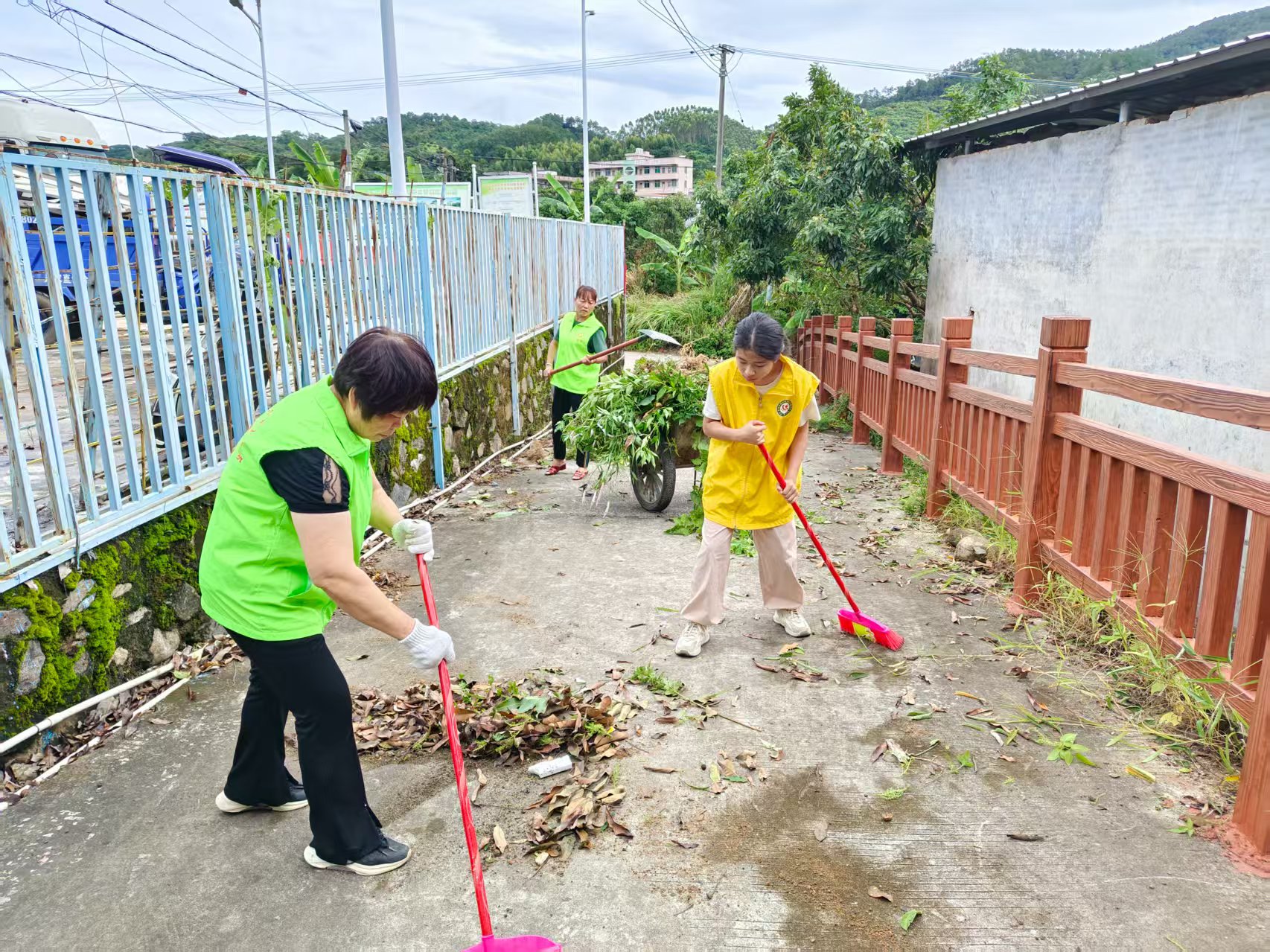 助力典型村建设 ：巾帼志愿在行动—平山巾帼志愿队到田坪典型村开展村道清理垃圾，严防基孔肯雅热疫情系列志愿活动-3.jpg