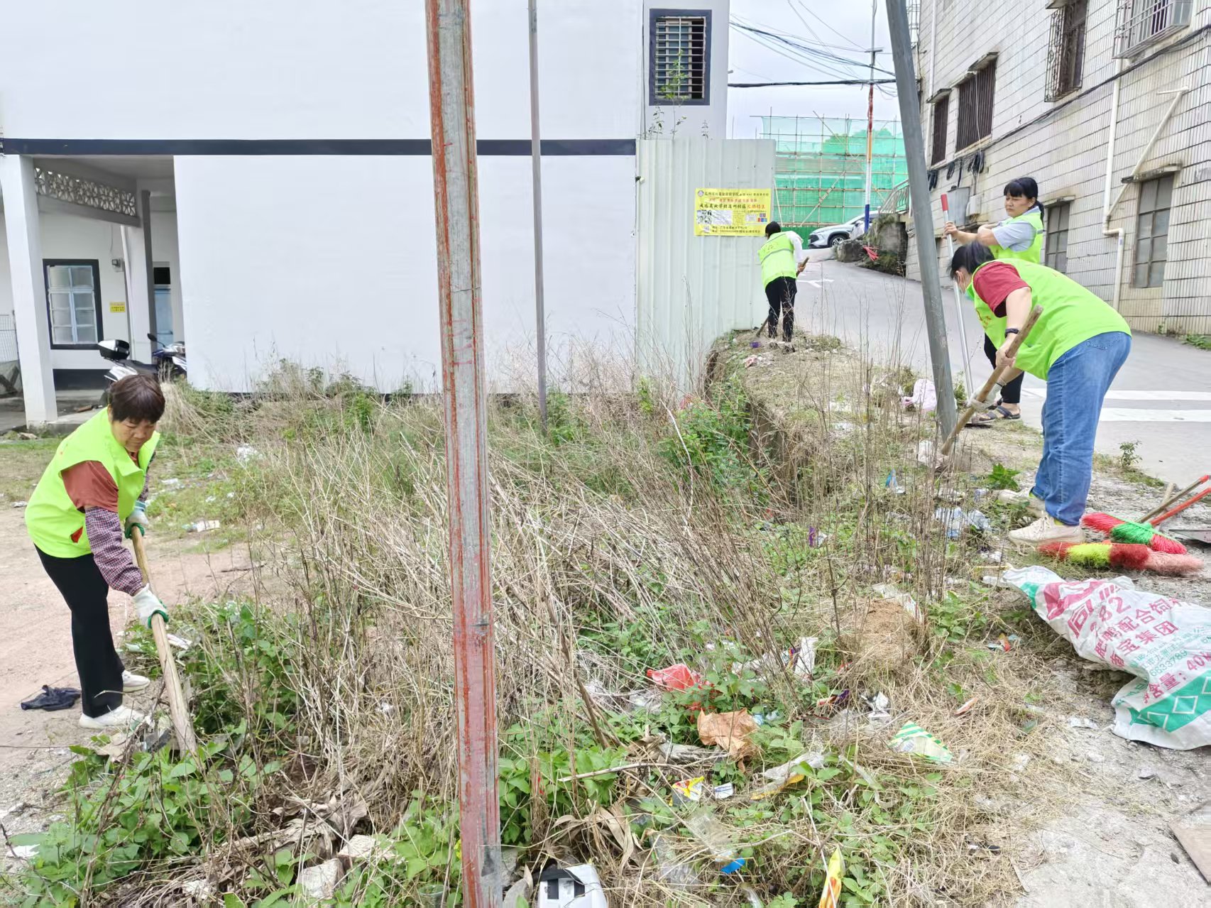 除草防蚊护环境！高州市巾帼志愿者助力平山镇创建卫生镇-4.jpg