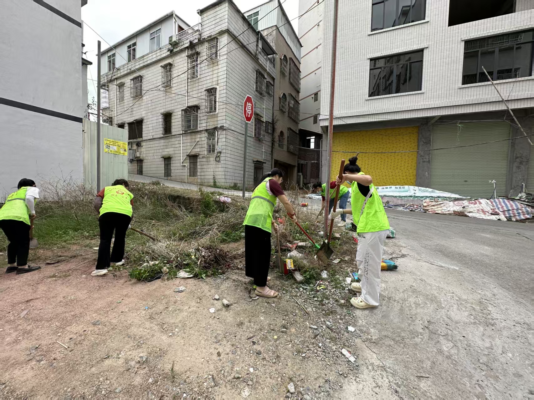 除草防蚊护环境！高州市巾帼志愿者助力平山镇创建卫生镇-5.jpg