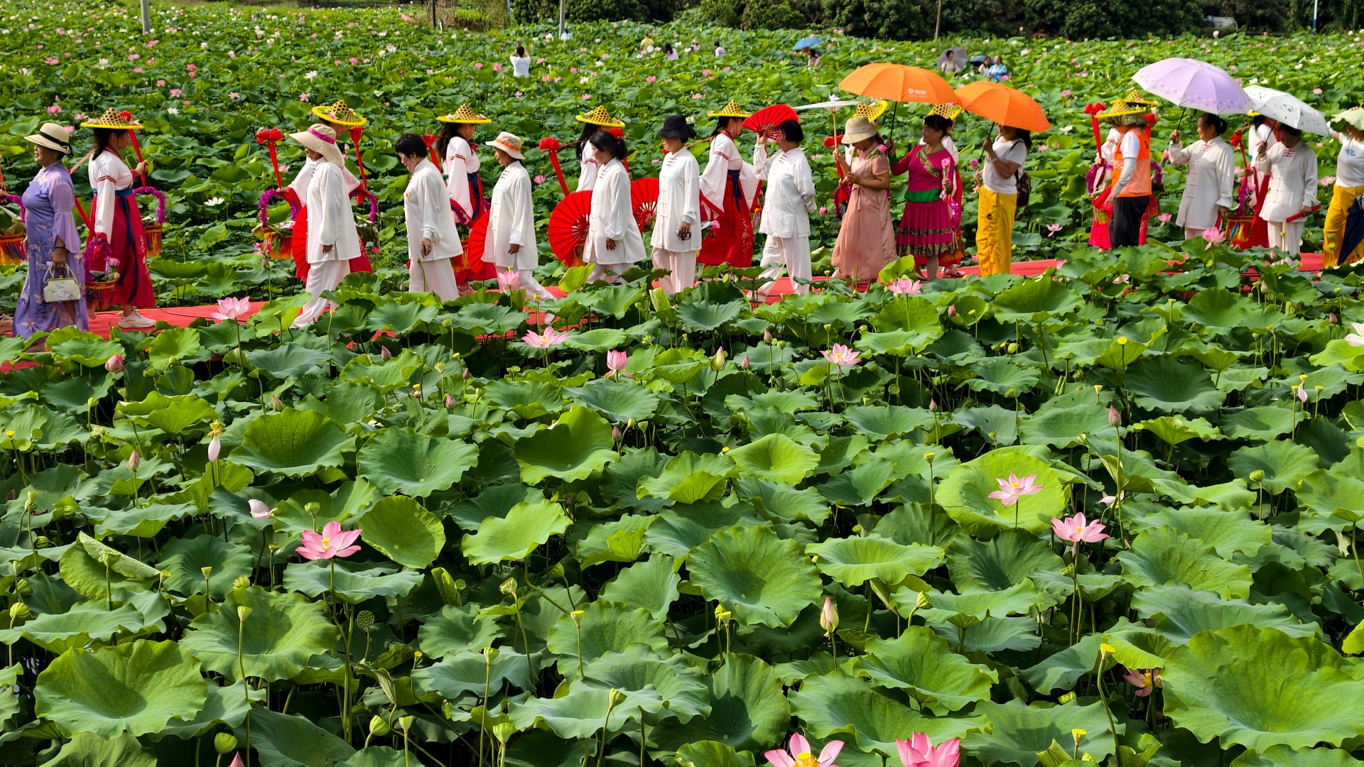 荷风迎客，文旅兴村！「盛夏荷风·相约广潭」公益活动圆满举行-3.jpg