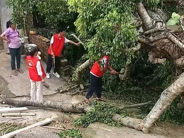 风雨清障保畅通 巾帼志愿显担当——南塘镇巾帼志愿服务队开展道路清障除险行动-6.jpg